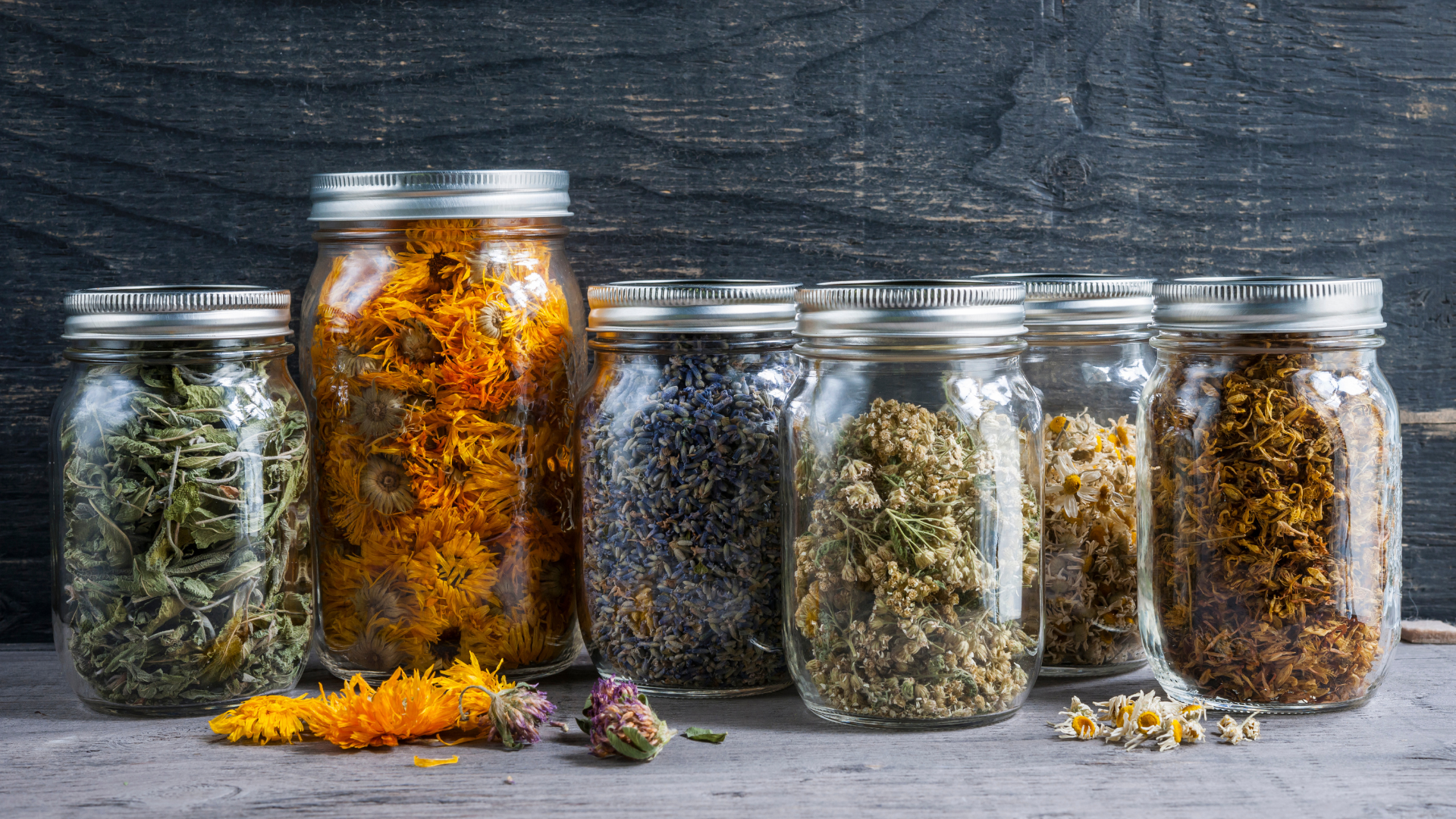 An assortment of herbs in glass jars