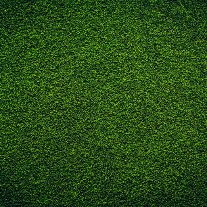 Close up of chlorella powder. 