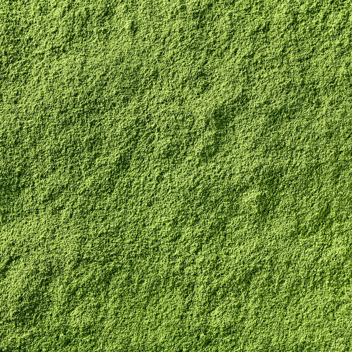 Matcha powder up close and personal.