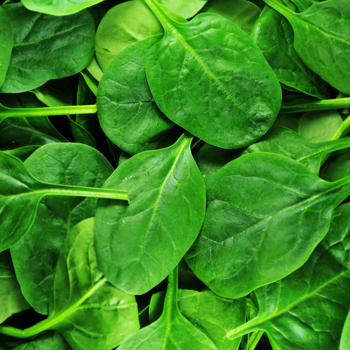 A close up of a pile of spinach